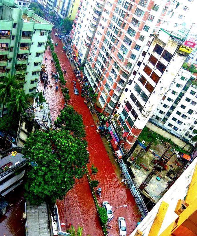 blood red streets dhaka, dhaka streets blood red, flooded streets dhaka blood red, blood dhaka street, Eid al-Adha 2016, Eid al-Adha 2016 dhaka, dhaka slaughter, Blood red water in the streets of Dhaka after Eid al-Adha 2016