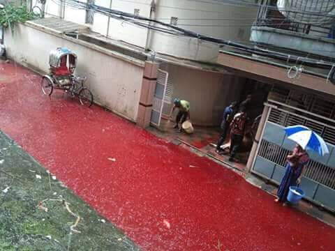 blood red streets dhaka, dhaka streets blood red, Blood red water in the streets of Dhaka after Eid al-Adha 2016, flooded streets dhaka blood red, blood dhaka street, Eid al-Adha 2016, Eid al-Adha 2016 dhaka, dhaka slaughter