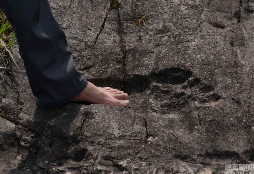 giant human footprint china, giant foot china august 2016, giant human footprint discovered in china 2016, footpring of giant fossilized in rock china august 2016