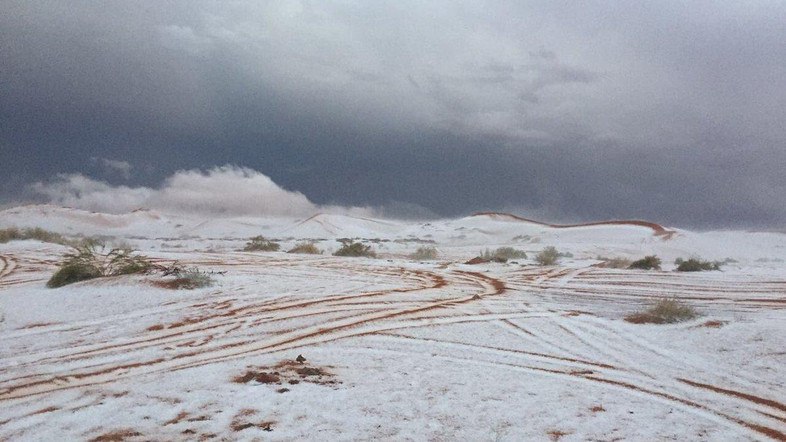 Anomalous snow covers the desert of Saudi Arabia in pictures and videos