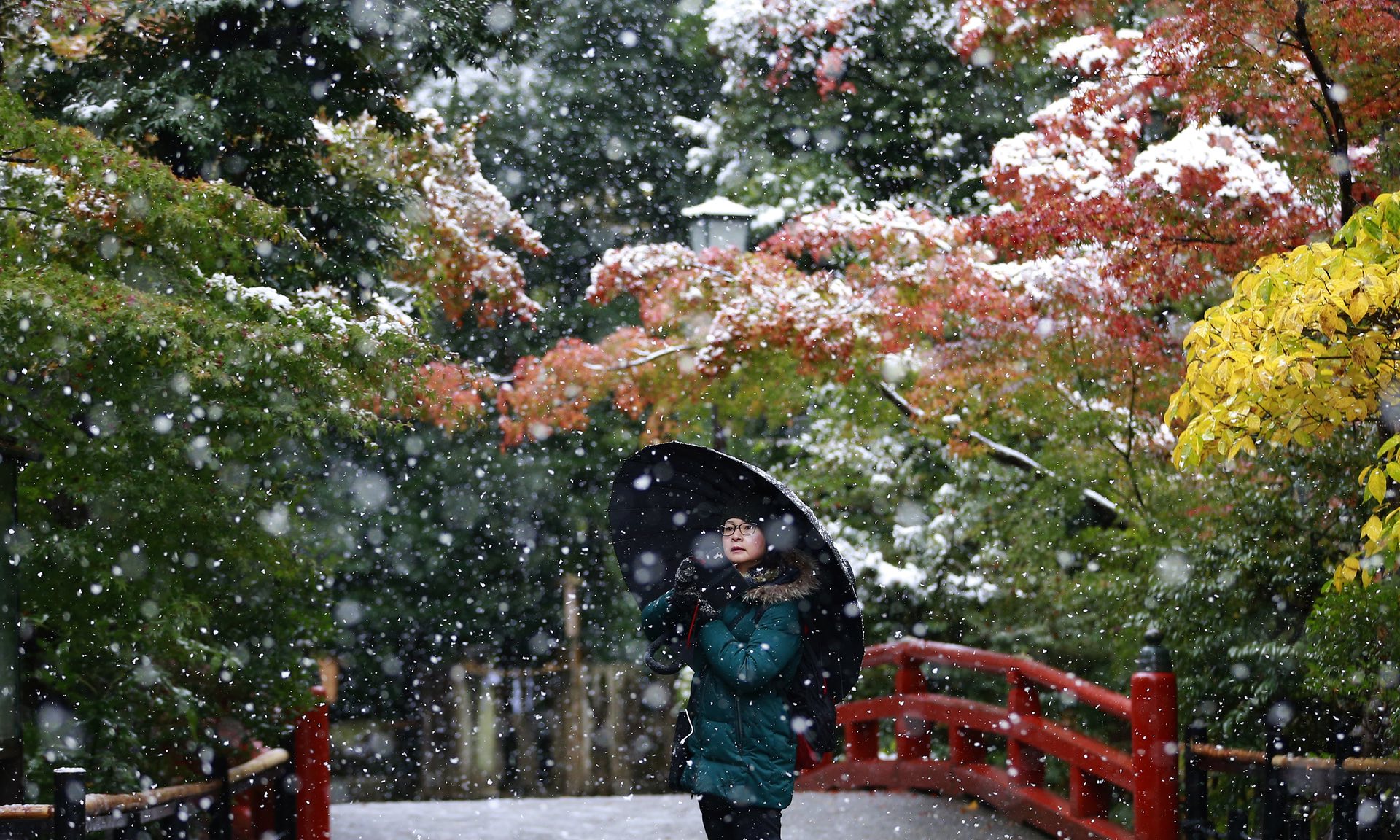 tokyo snow, Tokyo sees first November snow in more than 50 years, Tokyo sees first November snow in more than 50 years video, tokyo snow november 2016, tokyo japan snow video, tokyo snow record november 2016 
