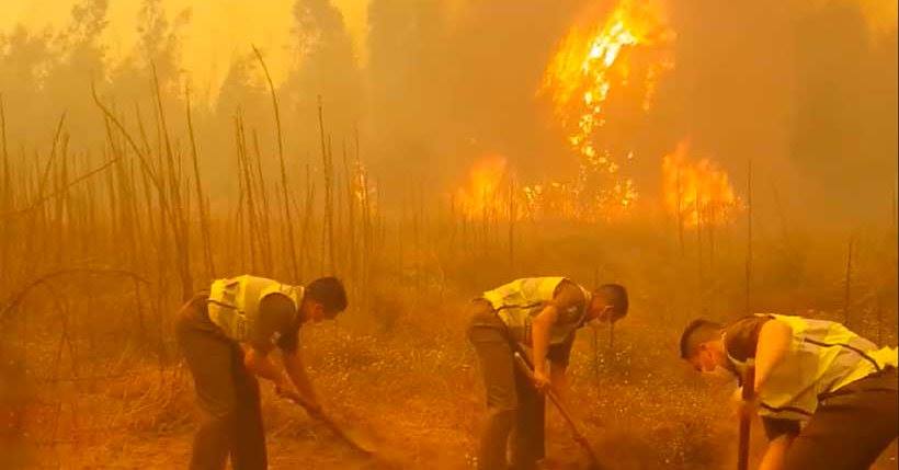 chile fire, chile fire 2017, chile fire january 2017, worst fires in decades devastate chile, chile fires january 2017 pictures, chile fire january 2017 video