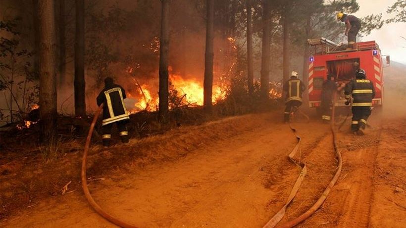 chile fire, chile fire 2017, chile fire january 2017, worst fires in decades devastate chile, chile fires january 2017 pictures, chile fire january 2017 video