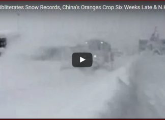 japan snow record january 2017, japan snow effect, weather anomaly japan