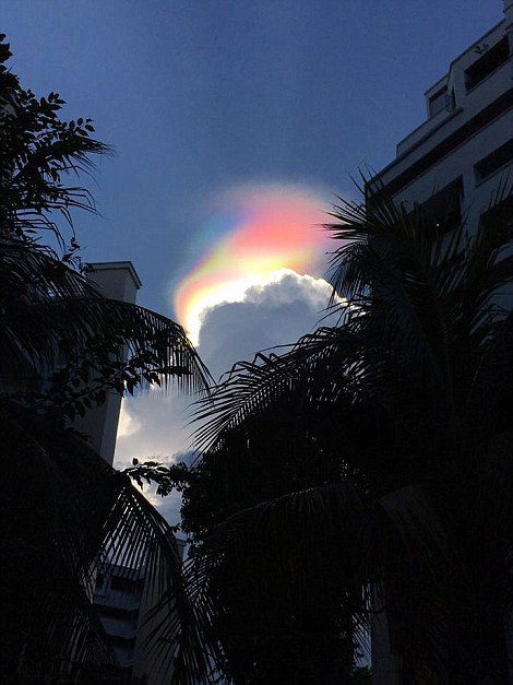 fire rainbow, fire rainbow singapore, singapore fire rainbow, singapore fire rainbow picture, singapore fire rainbow video, cloud iridescence