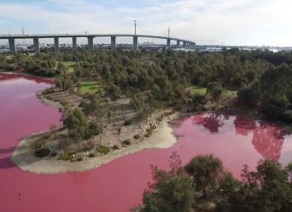 pink lake melbourne australia, Lake turns bright pink in Melbourne, Australia, lake turns pink in melbourne overnight