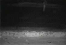 Mystery image captured on Utah DOT traffic camera, ghost utah, ghost utah camera, mysterious ghost captured by dot cameras in UTAH, What is this mysterious shape caught on Utah DOT traffic camera?