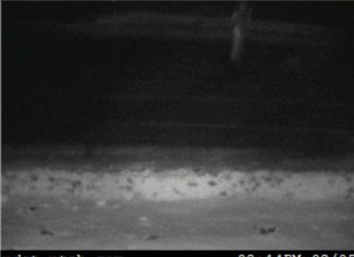 Mystery image captured on Utah DOT traffic camera, ghost utah, ghost utah camera, mysterious ghost captured by dot cameras in UTAH, What is this mysterious shape caught on Utah DOT traffic camera?