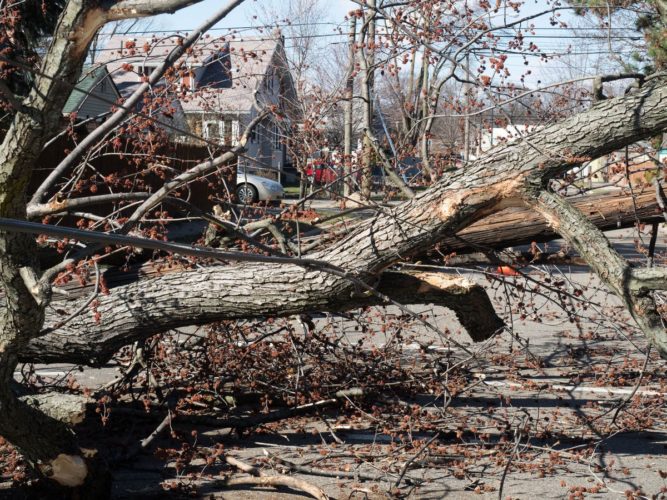 Windstorm cuts power to more than 1 million in Michigan, millions without power in michigan, 1 million residents without power in michigan