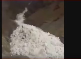 avalanche, avalanche herder dagestan, dagestan, april 2017, video