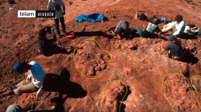 dinosaur eggs embryos discovered argentina, dinosaur eggs embryos discovered argentina video, dinosaur eggs embryos discovered argentina photo, dinosaur eggs with embryos inside unearthed in Argentina, 