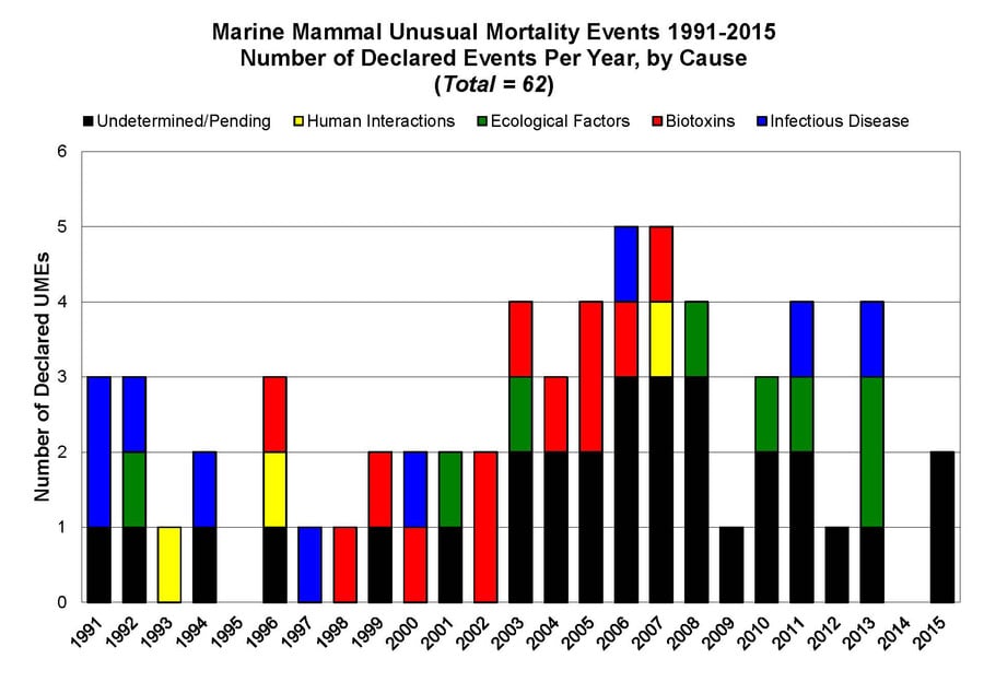 humpback whale mysterious and unusual deaths us atlantic coast, Mysterious spike in humpback whale deaths on US Atlantic Coast, video, Mysterious spike in humpback whale deaths on Atlantic Coast picture, unusual Mysterious spike in humpback whale deaths on Atlantic Coast, humpback whale die-off