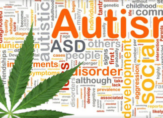 marijuana, marijuana autism, autism miracle treatment, marijuana miracle treatment autism, autism miracle treatment marijuana
