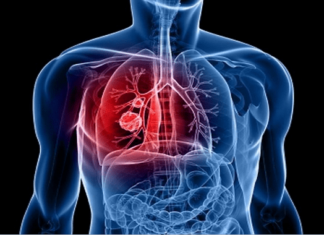 lungs produce blood, New scietific discovery: Lungs produce blood, blood produced by lungs