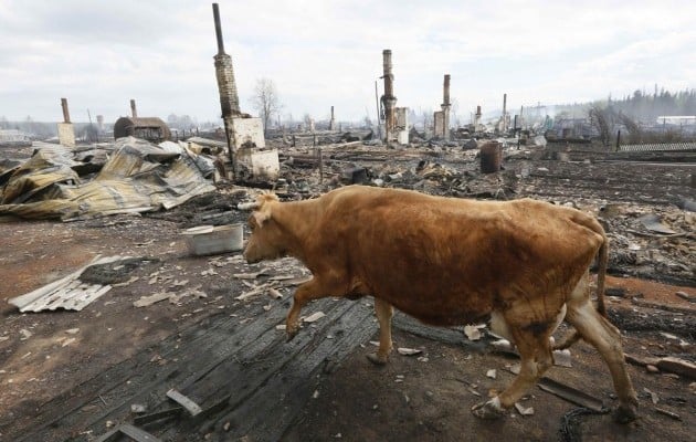 wildfire russia, wildfire russia video, wildfire russia pictures, Deadly wildfires swept across Siberia burning down 200 homes in villages on May 24 2017