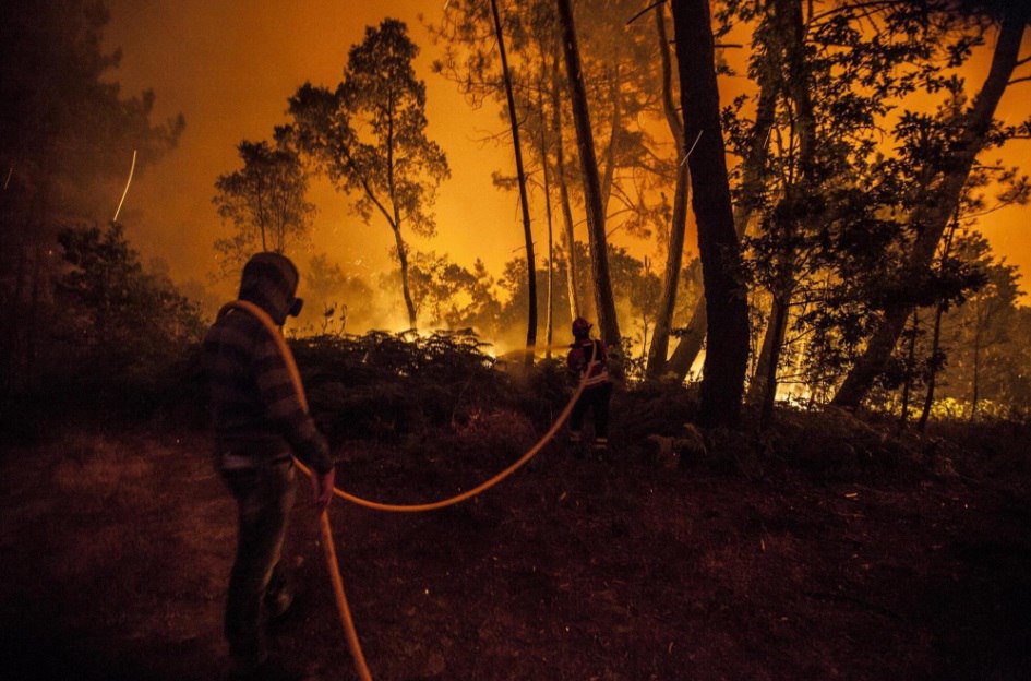portugal fire, portugal fire june 2017, fire kills 62 people in Portugal portugal wildfire june 2017, portugal fire video, fire kills 62 people in Portugal pictures, portugal fire video june 2017