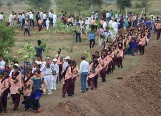 India plants 66 million trees in 12 hours, India plants 66 million trees in 12 hours during environmental action