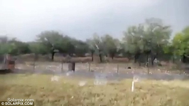 Apocalyptical hailstorm kills sheep and damages cars in northern Spain video, apocalyptical hailstorm spain video