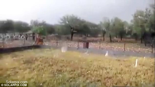 Apocalyptical hailstorm kills sheep and damages cars in northern Spain video, apocalyptical hailstorm spain video