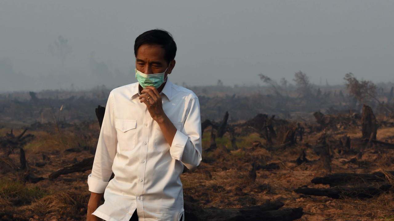 5 Indonesian provinces declare emergencies over forest fires, forest ires indonesia, state of emergency forest fires indonesia
