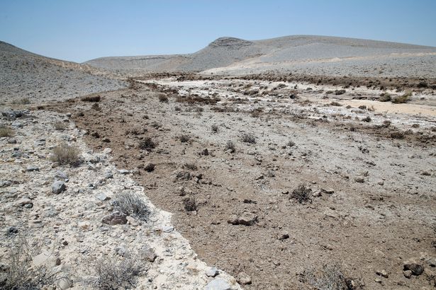toxic tsunami israel desert, 'Toxic tsunami' of wastewater gushes over Israeli desert killing animals and plants after reservoir wall collapse