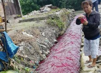 blood red river, blood red river video, blood red river picture, blood red river indonesia august 2017, blood red river indonesia august 2017 video, blood red river indonesia august 2017 picture