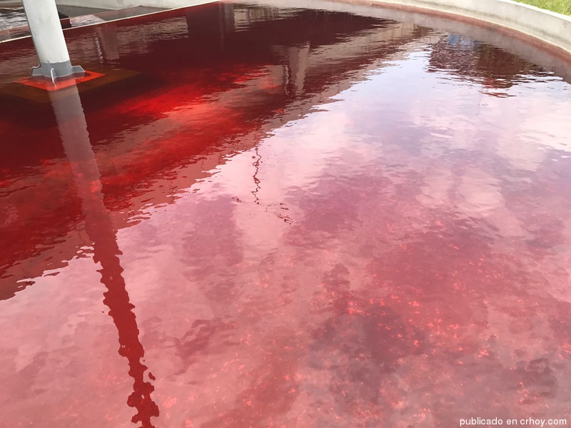 blood red water costa rica, red water cr, blood red water costa rica pictures, blood red water costa rica videos