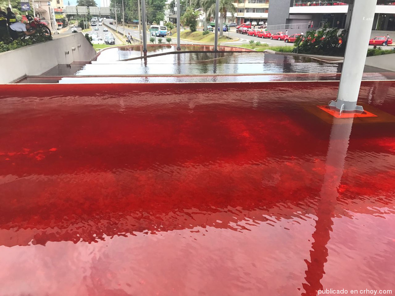 blood red water costa rica, red water cr, blood red water costa rica pictures, blood red water costa rica videos