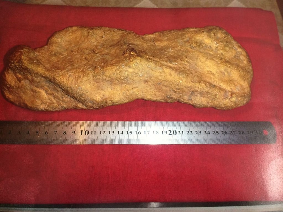 giant gold nugget russia, giant gold nugget russia picture, A giant 10.3 kg gold nugget was found in the Khabarovsk Territory in Russia
