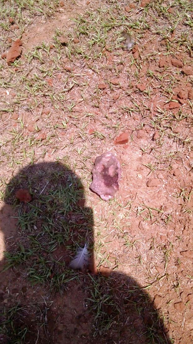 This stunned homeowner made an out of this world discovery after finding a glowing meteorite in his back garden in Appling, Georgia on July 21 2017, meteorite appling georgia 2017, meteorite appling georgia video, meteorite appling georgia pictures