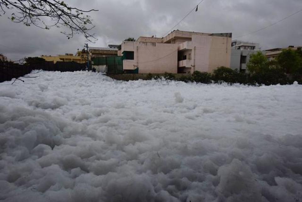 Toxic foam tsunami in Bengaluru after unprecedented downpours, toxic foam bengaluru, toxic foam bengaluru video, toxic foam bengaluru pictures