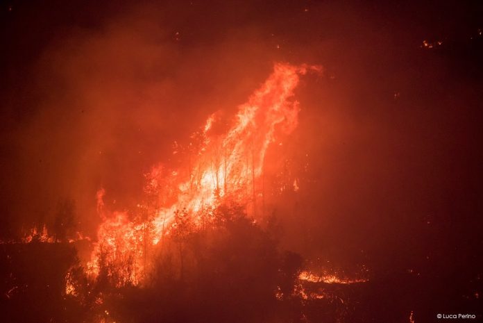 States of emergency in Piedmont and Lombardy as forest fires scorch ...