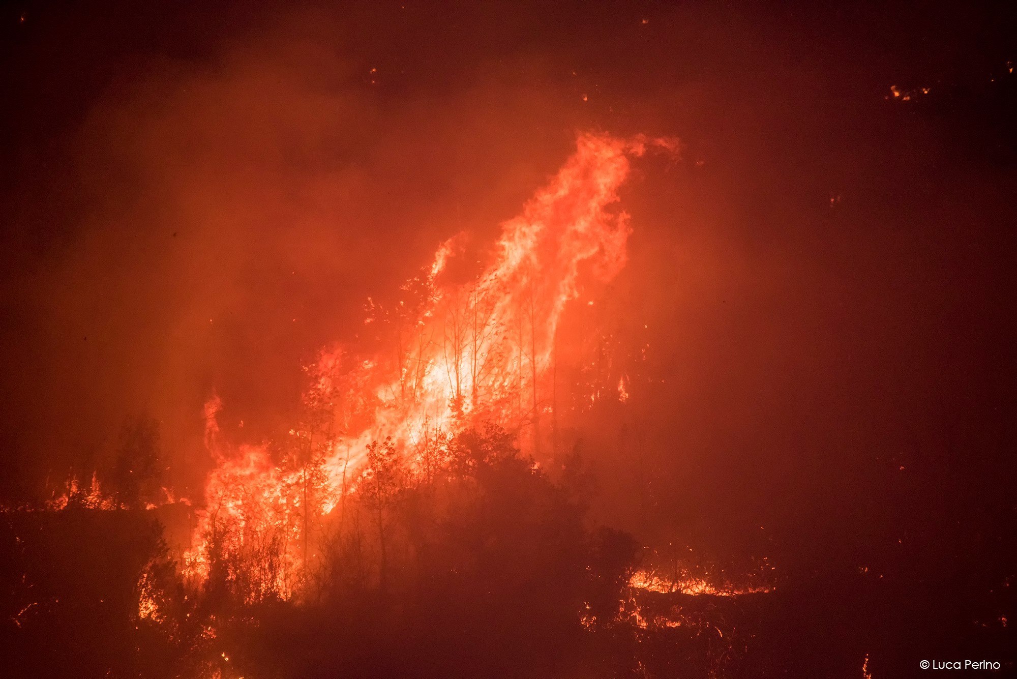 Italy forest fires, Forest fires are devastating Lombardy and Piedmont in Italy, Forest fires are devastating Lombardy and Piedmont in Italy pictures, Forest fires are devastating Lombardy and Piedmont in Italy videos