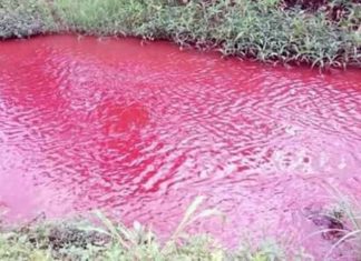 River in Ghana turns blood red overnight, River in Ghana turns blood red overnight video, River in Ghana turns blood red overnight pictures