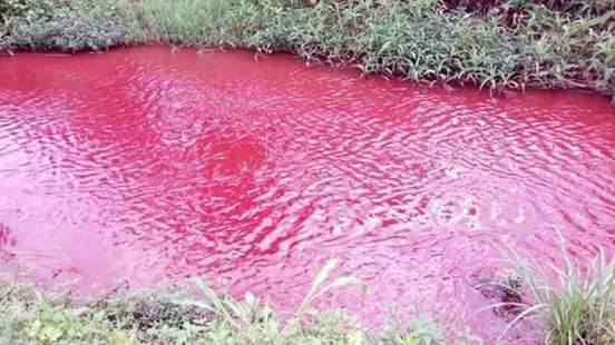 River in Ghana turns blood red overnight, River in Ghana turns blood red overnight video, River in Ghana turns blood red overnight pictures