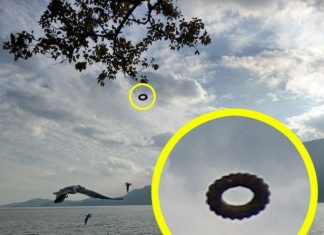 donut-shaped ufo china, tire-shaped ufo china, tourist shot picture donut-shaped ufo in china