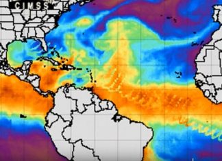 wave anomaly us gulf coast, wave anomaly us gulf coast video, wave anomaly us gulf coast video picture