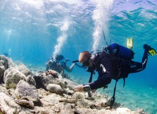 8 sunken roman shipwrecks found off Naxos in Greece, 8 roman shipwrecks found off Naxos in Greece