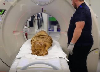 ancient mummy diagnosed with cancer, ancient egyptian mummy diagnosed with cancer