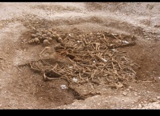 headless vikings burial site, headless vikings burial site uk, headless vikings burial site dorset