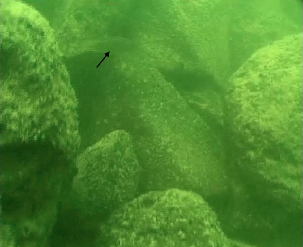 mysterious underwater sturcture sea of galilee