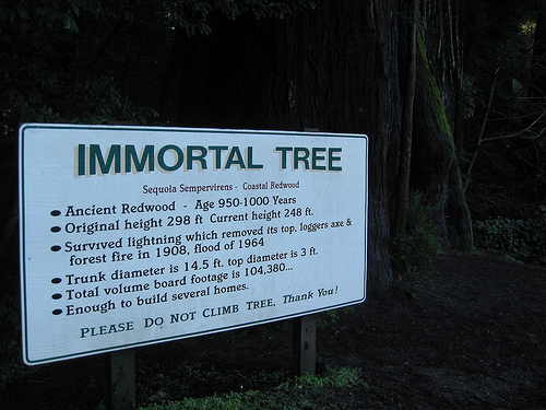 plants are immortal, immortality in plants, Plants are immortal or contain the key to immortality