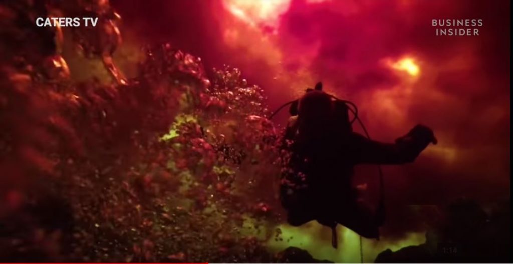diver swimms in fire florida video