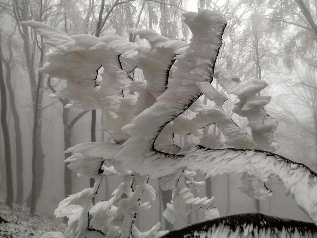 frost deposits croatia, ice sculptures croatia