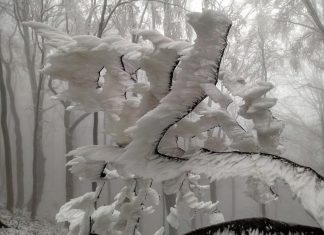 frost deposits croatia, ice sculptures croatia