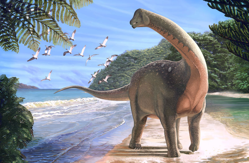 new dinosaur found in egypt solves ancient mystery, Mansourasaurus shahinae