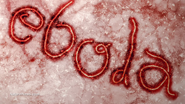 Ebola virus pandemics, Ebola virus pandemics worldwide, new Ebola virus pandemics