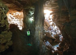 sinkhole exposes cave williamson county texas cambrian cave, sinkhole cave texas, williamson sinkhole cave feb 2018