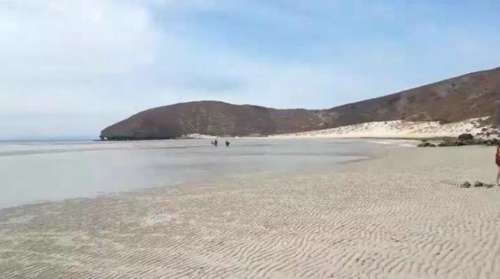 Playa Balandra, Playa Balandra water disappears, Water disappears at Playa Balandra in Baja California, Fenómeno retroceso de mar en playa Balandra municipio de La Paz Baja California Sur