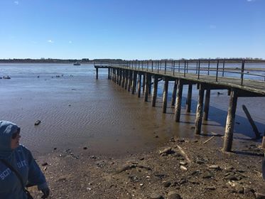 Water disappears Pamlico and Neuse rivers North Carolina